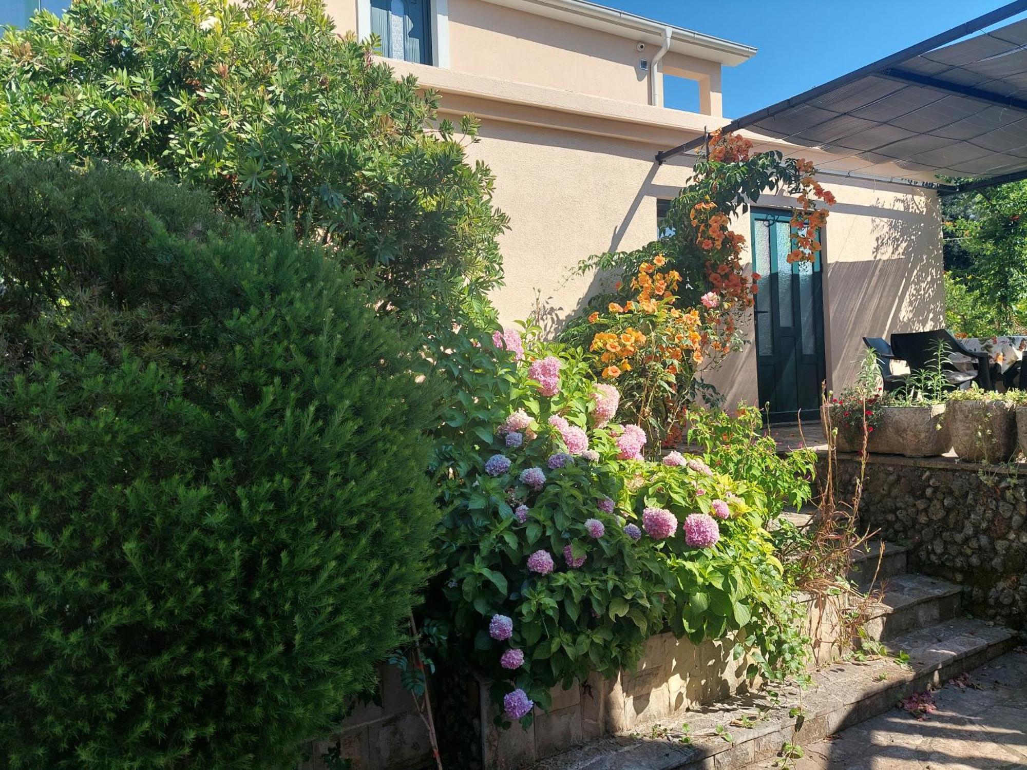 Kjara Apartments ティヴァト エクステリア 写真